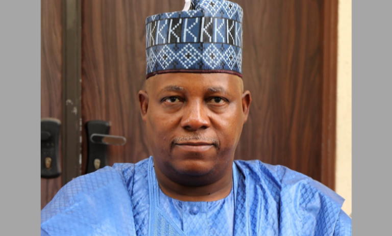 People Told Tinubu I Planned To Kill Him – Shettima