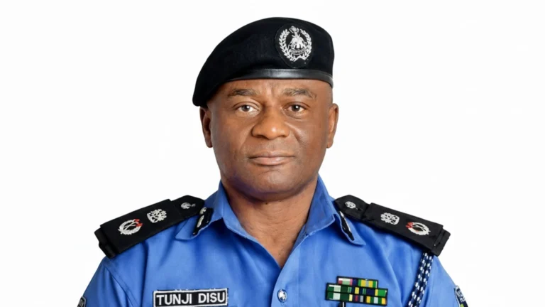 IGP Orders Police Officers To Shoot Anyone With Illegal Firearms