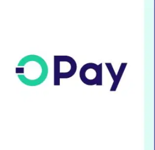 Opay Raises $304 Million In NYSE IPO At $4 Billion Valuation